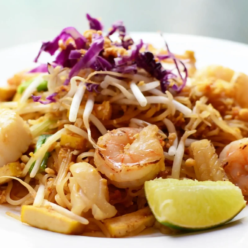 New Project - 2026-02-16T164919.154