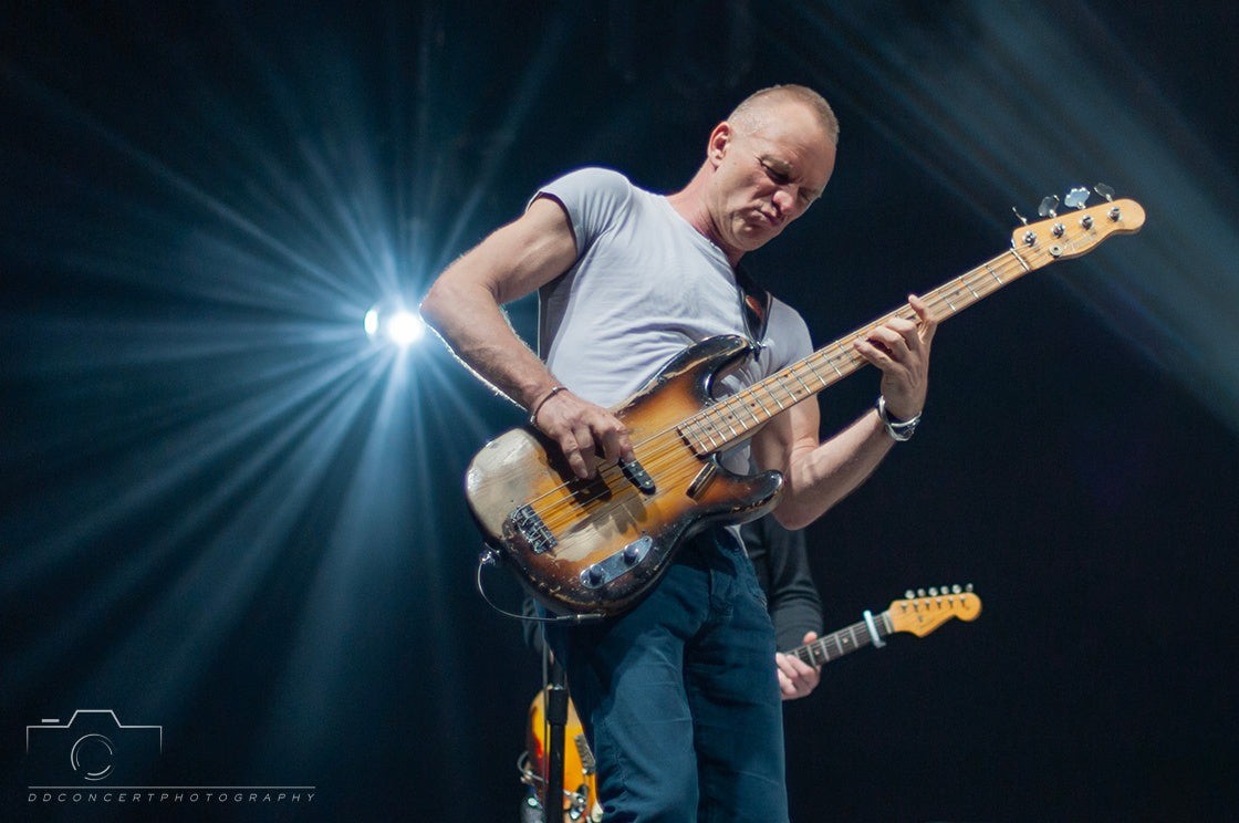 Sting performing live